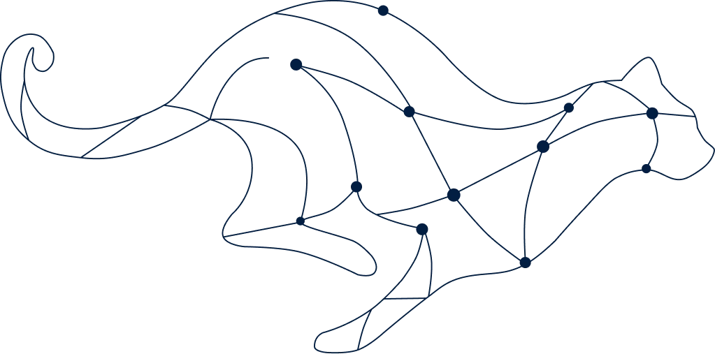 TrAC lion wireframe illustration